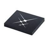 Skyworks Solutions SKY68001-31 LTE，通用，CAT-M，NB-IOT，智能能源和资产跟踪应用程序的多频段FEM